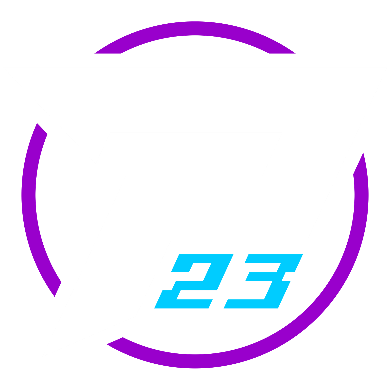 P23